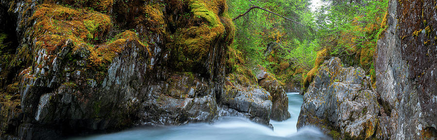 Winner Creek Gorges Eternal Flow Photograph by Kyle Lavey