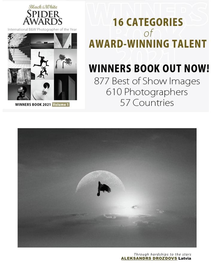 Winners Book 2021 / Video series  Photograph by Aleksandrs Drozdovs