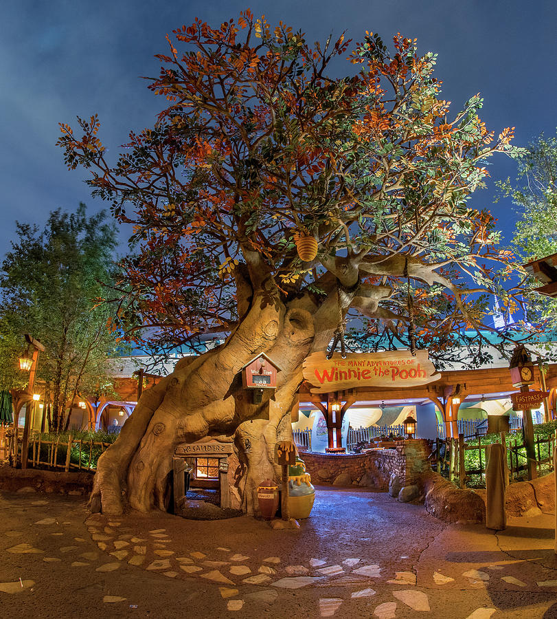 Disney Photograph - Winnies Place by Mark Walter