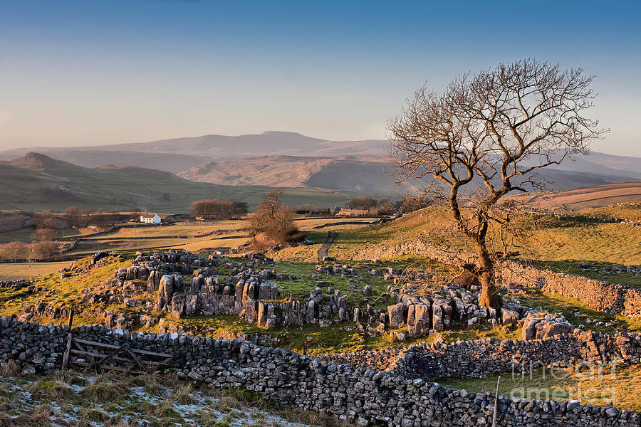 Winskill Stones Photograph by Tom Holmes
