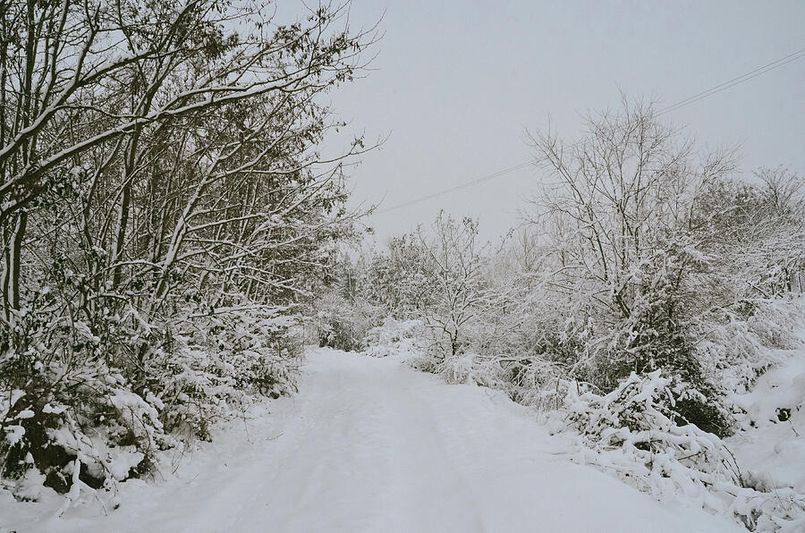 Winter 2 Photograph by Adrian Limani Winter 2 Photograph by Adrian Limani