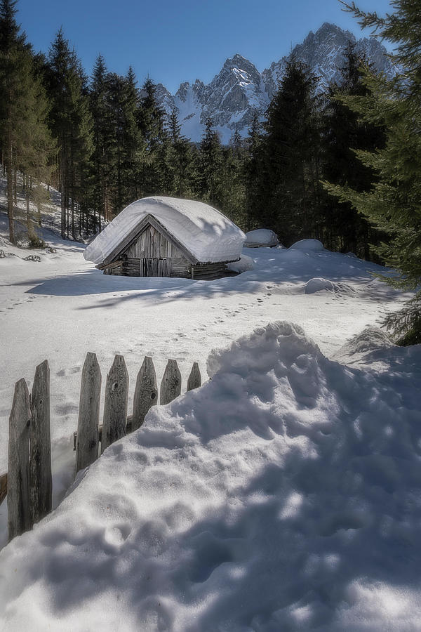 Winter 2021 in Sappada Photograph by Wolfgang Stocker
