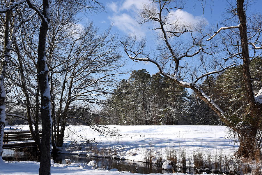 Winter 35 Photograph by Joyce StJames