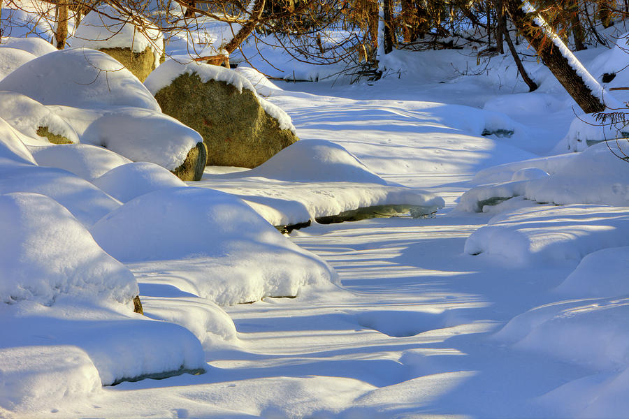 Winter 7299 Photograph by Greg Hartford