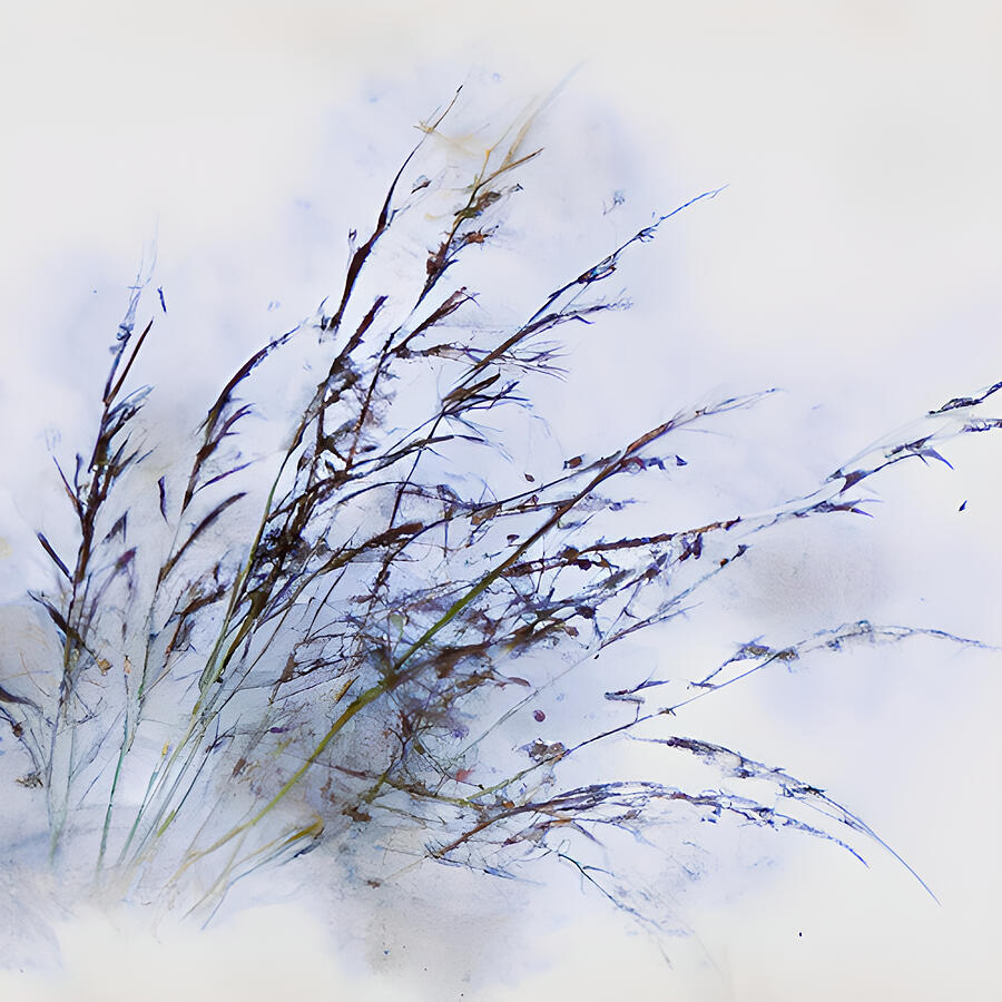 Winter Abstract Photograph by Amalia Suruceanu