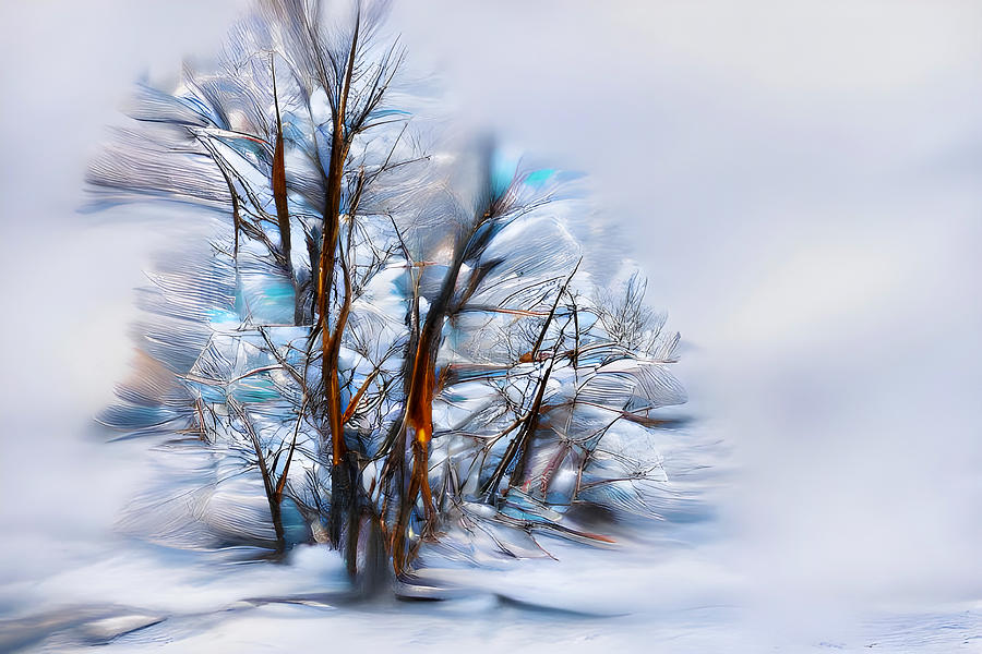Winter Abstract Digital Art by Gary Blackman