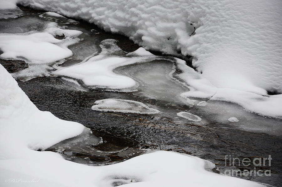 Winter Abstrract Photograph by Debby Pueschel