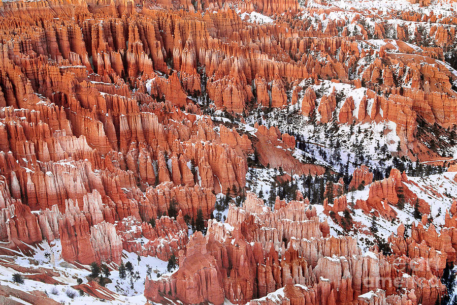 Winter Afternoon At Inspiration Point Bryce Canyon National Park  Utah Photograph by Dave Welling