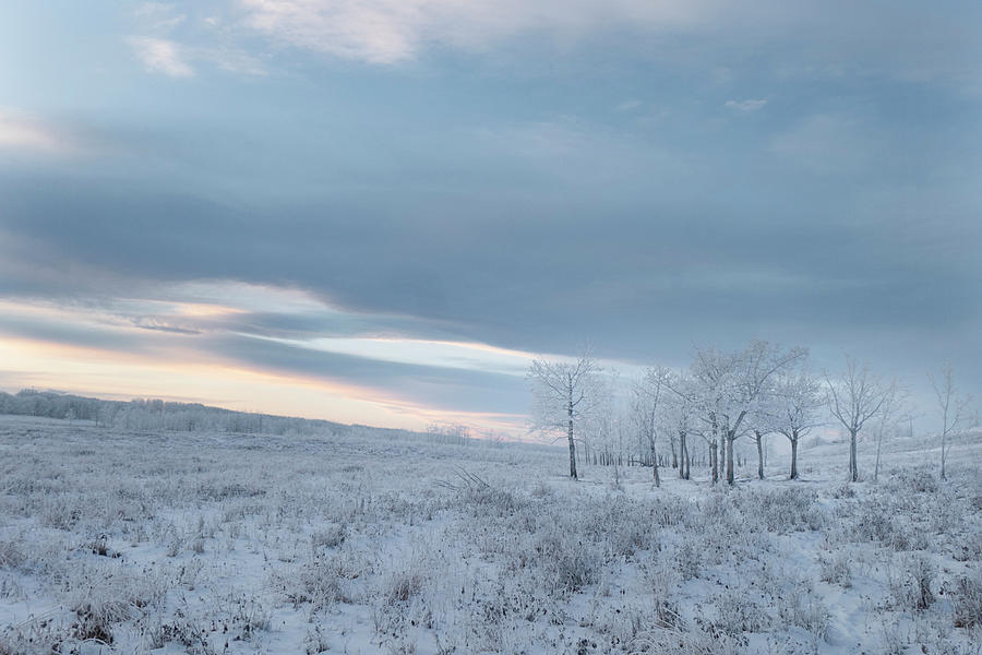 Winter Photograph - winter Alberta dawn by Phil And Karen Rispin