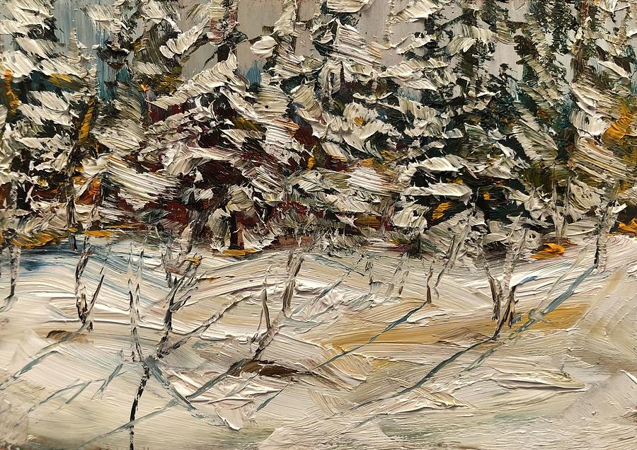 Winter Algonquin  Painting by Desmond Raymond