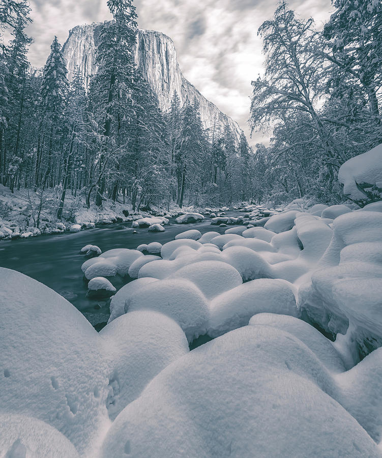 Winter Along The River Bw Photograph by Jonathan Nguyen