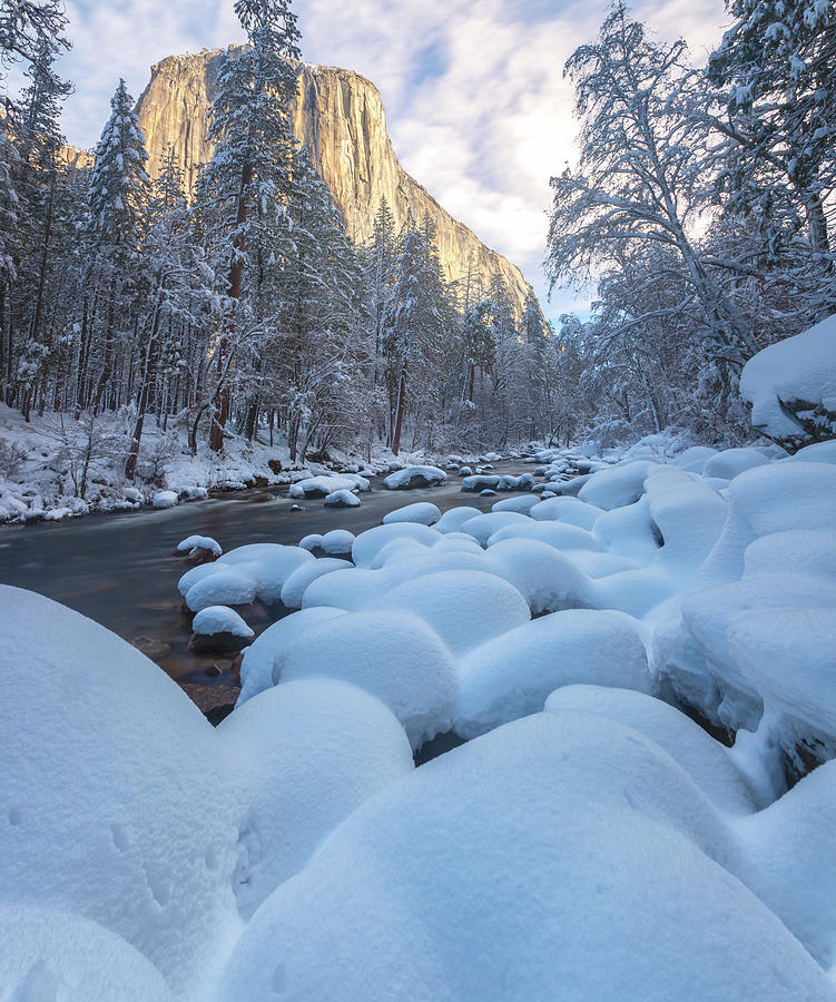 Winter Along The River Photograph by Jonathan Nguyen