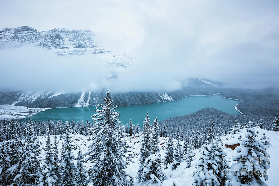 Winter at Banff Photograph by Matteo Colombo