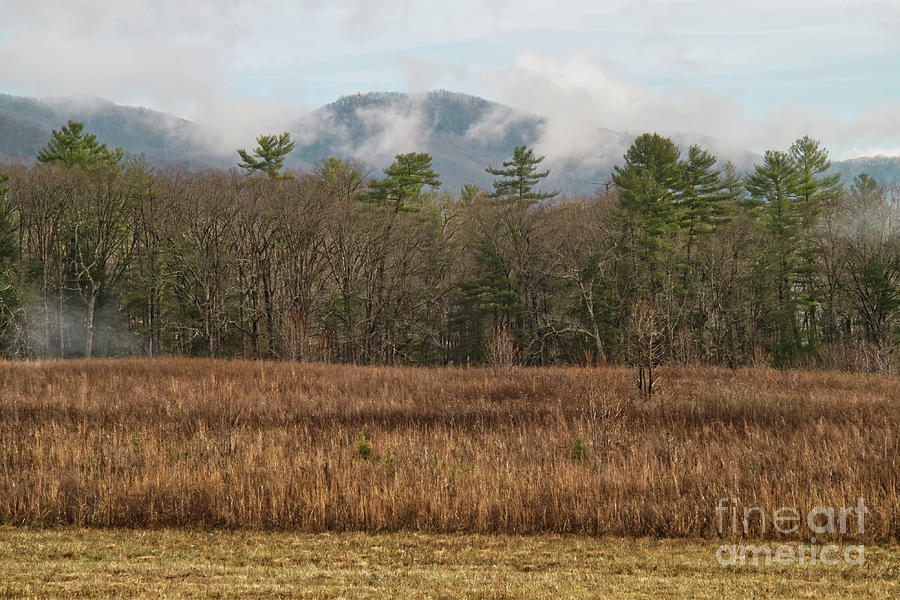 Winter at Cades Cove Photograph by Phil Perkins