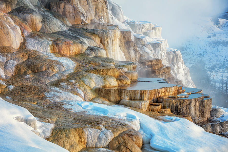 Winter At Canary Spring - Yellowstone Photograph