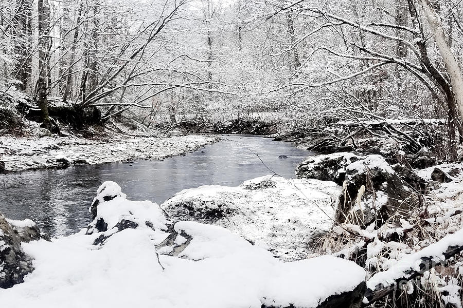 Winter At Daniel Boone National Forest Photograph by Ed Taylor