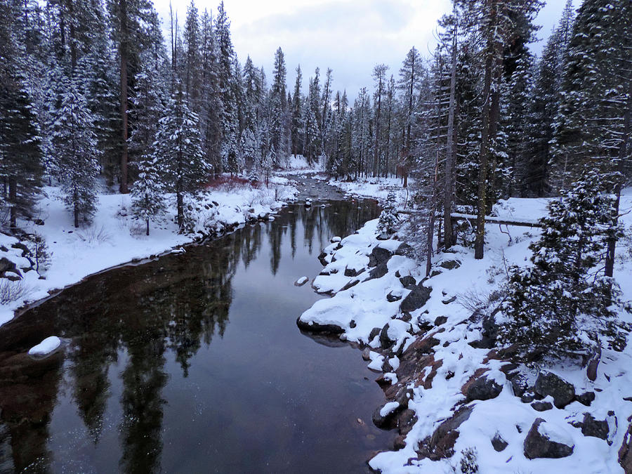 Winter At Dinkey Creek Photograph by Eric Forster