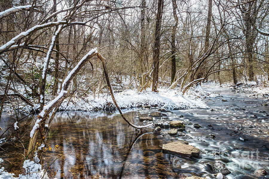 Winter At Galloway Creek Photograph by Jennifer White