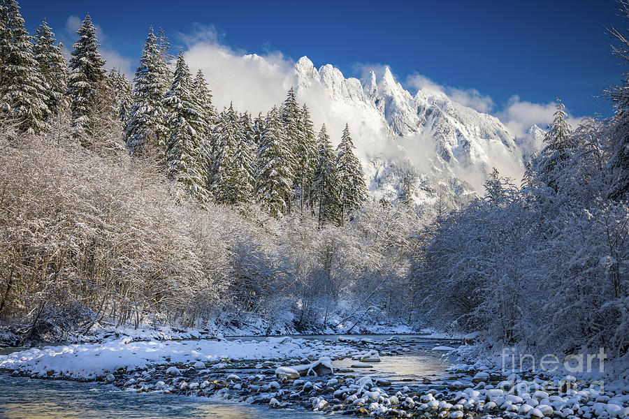 Winter at Garfield Mountain Photograph by Inge Johnsson