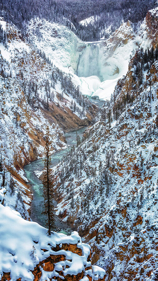 Winter at Grand Canyon of the Yellowstone Photograph by Stephen Stookey