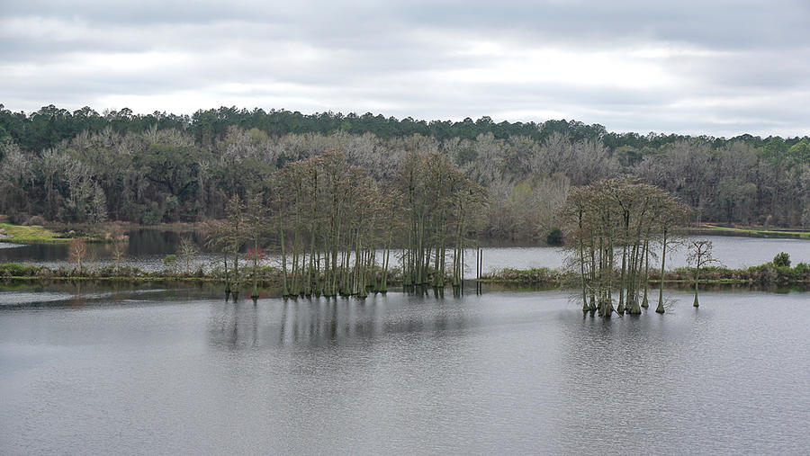 Winter at Piney Z Lake Photograph by Katherine Y Mangum