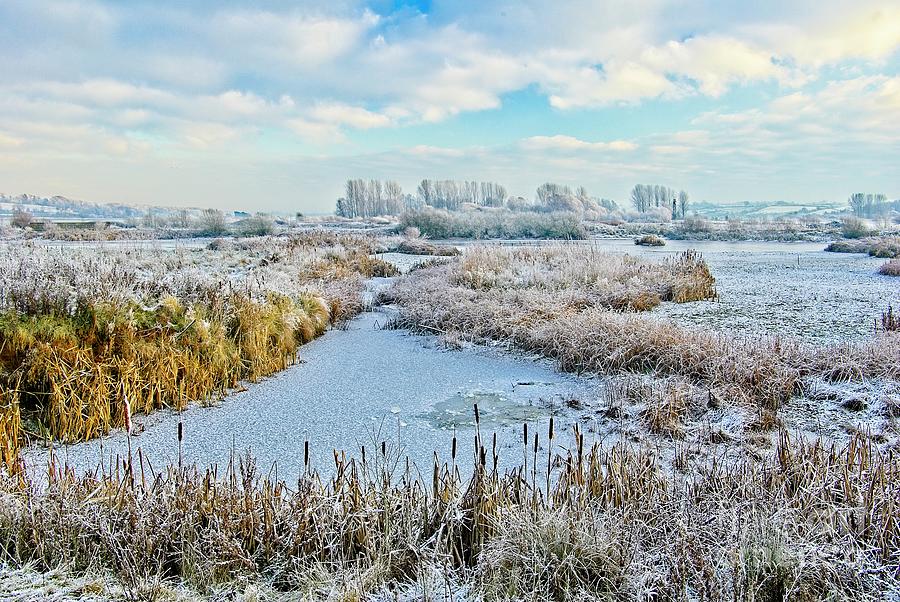 Winter at Rutland Water Nature Reserve Photograph by Martyn Arnold