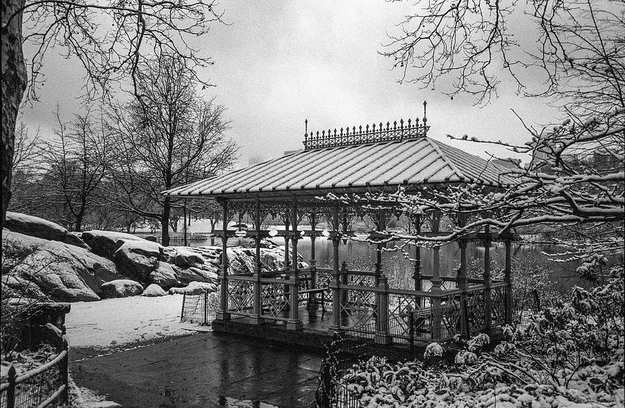 Winter at The Ladies Pavilion Photograph by Cornelis Verwaal