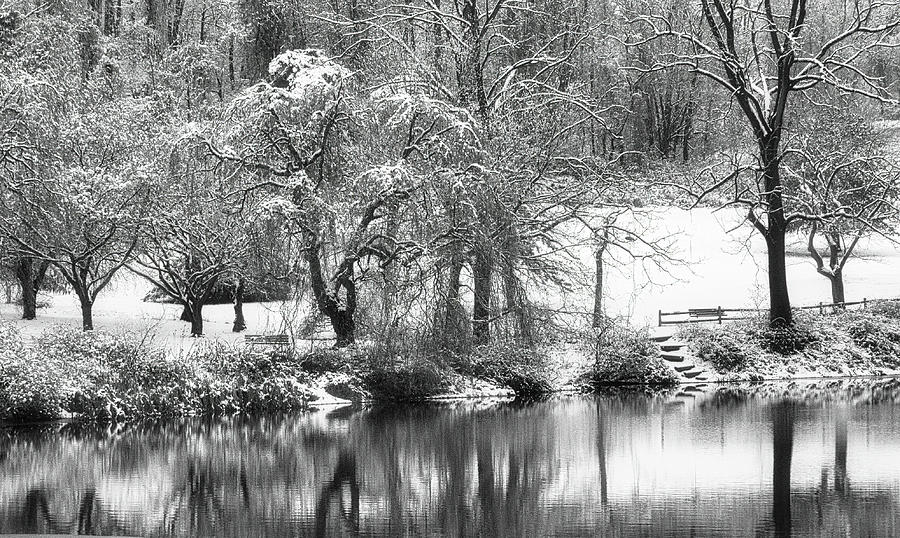 Winter At The Park Pond Photograph by Gary Slawsky