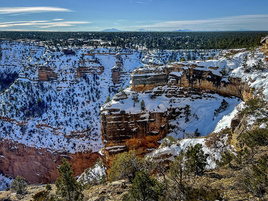 Winter at the South Rim Photograph by Ed Clark