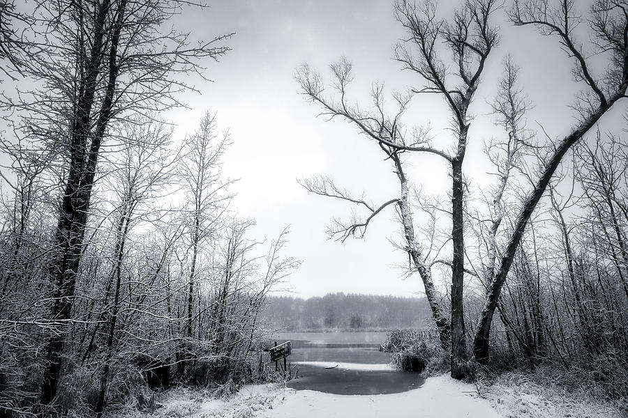 Winter at Weyers Lake Photograph by Bill Chizek