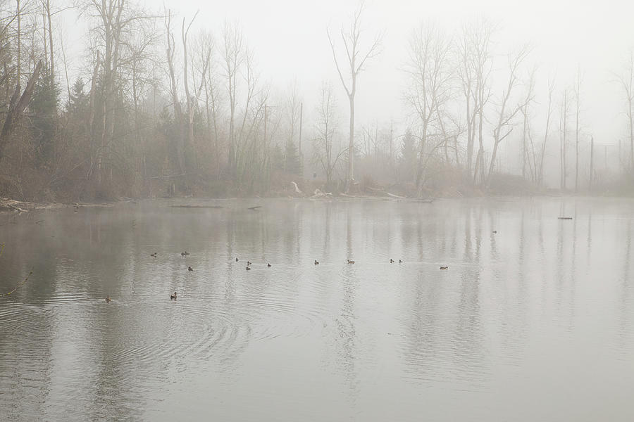 Winter at whitaker ponds Photograph by Kunal Mehra