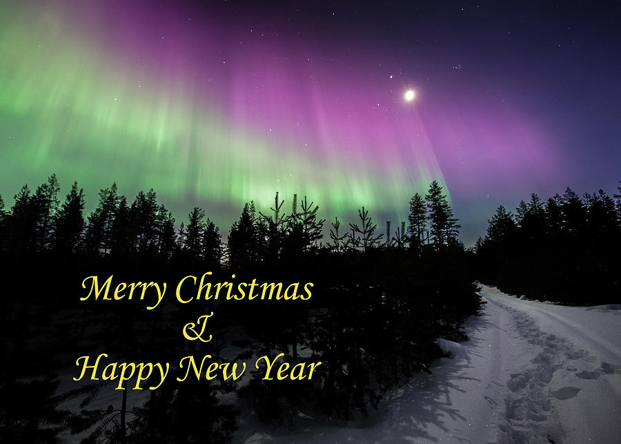 Greeting card - Winter auroras - Merry Christmas Happy New Year Photograph by Thomas Kast