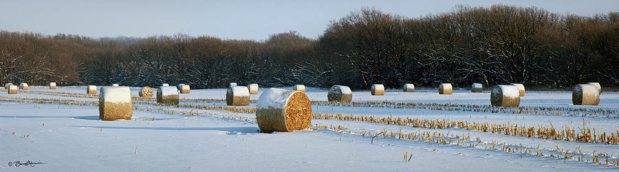 Winter Bales Photograph by Bruce Morrison