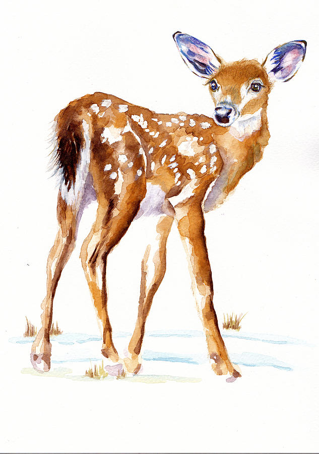 Winter Bambi Faun Painting by Debra Hall