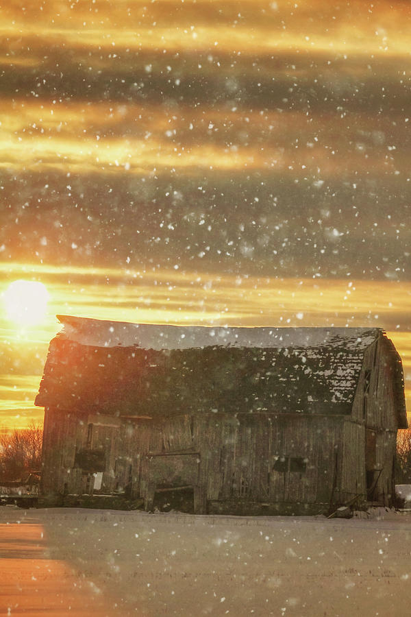 Winter Photograph - Winter Barn at Sunset by Carrie Ann Grippo-Pike