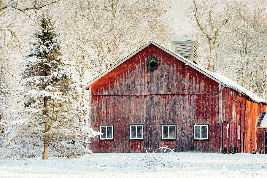 Winter Barn Photograph by Denise Kopko