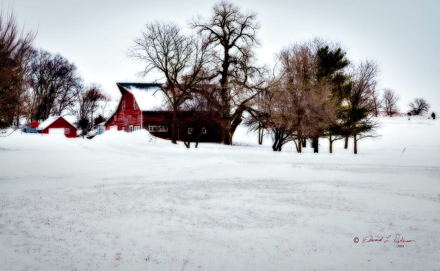Winter Barn Photograph by Ed Peterson