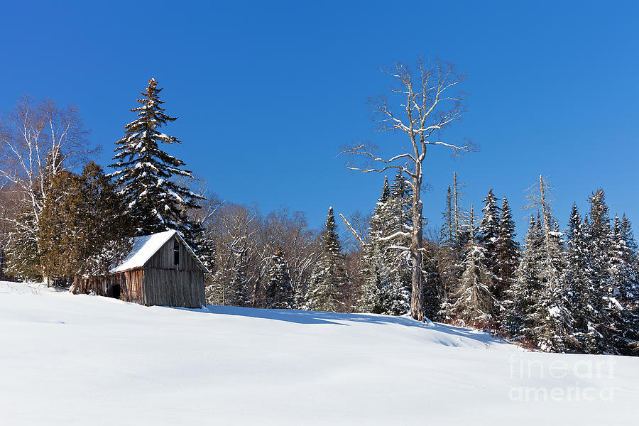 Winter Barn Landscape Photograph by Alan L Graham