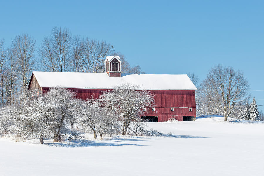 Winter Barn Photograph by Tim Kirchoff