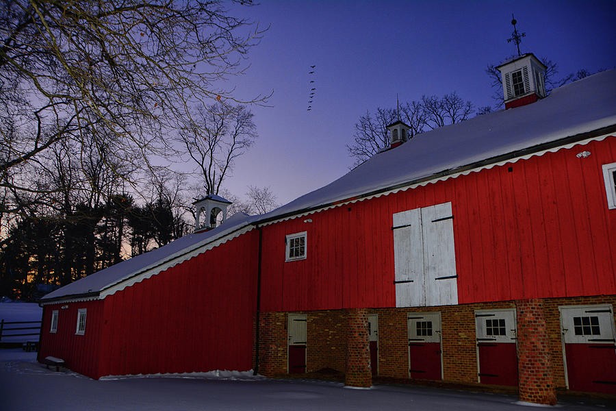 Winter Bayonet Farms and Geese Photograph by Raymond Salani III