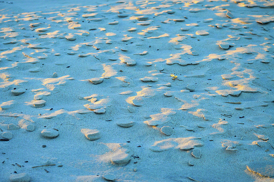 Winter Beach Patterns Photograph by Dianne Cowen Cape Cod Photography