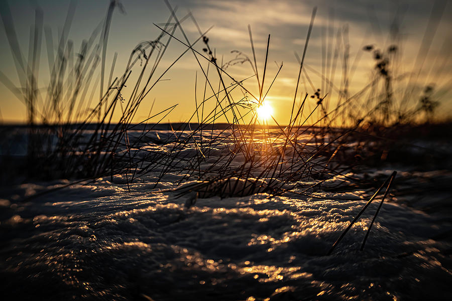 Winter beach sun rise  Photograph by Sven Brogren