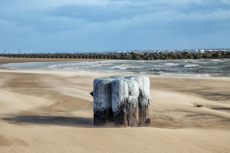 Winter Beachscape Photograph by Cate Franklyn