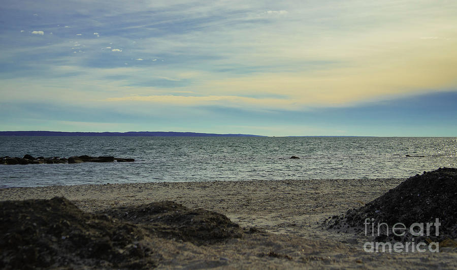 Nature Photograph - Winter Beachscape by Sharon Mayhak Nature Photograph - Winter Beachscape by Sharon Mayhak