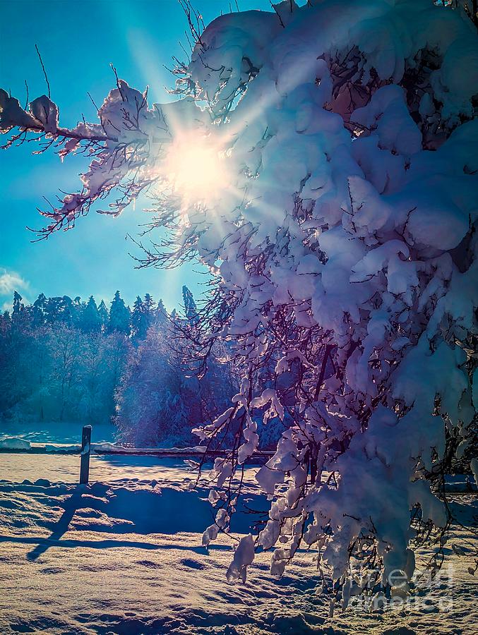 Winter Beauty Photograph by Claudia Zahnd-Prezioso