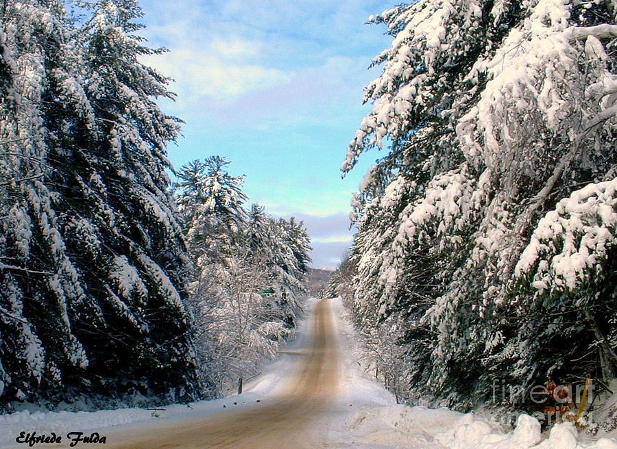 Winter Beauty Photograph by Elfriede Fulda