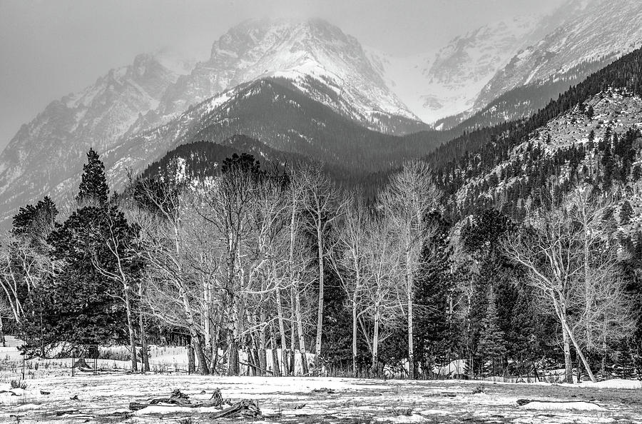 Winter Beauty of Rocky Mountain National Park, Black and White Photograph by Marcy Wielfaert