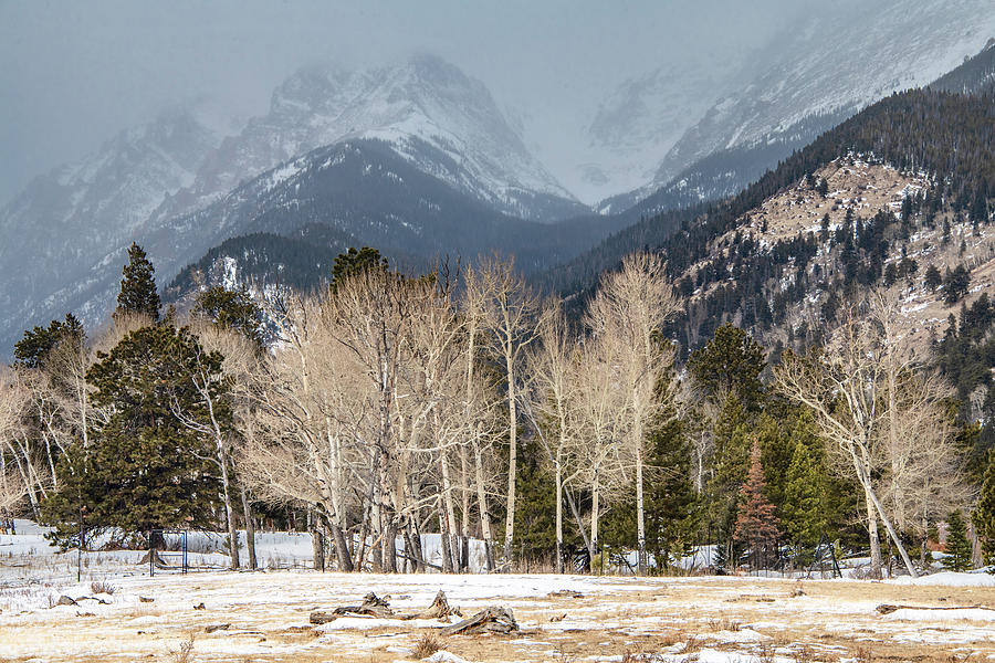 Winter Beauty of Rocky Mountain National Park Photograph by Marcy Wielfaert