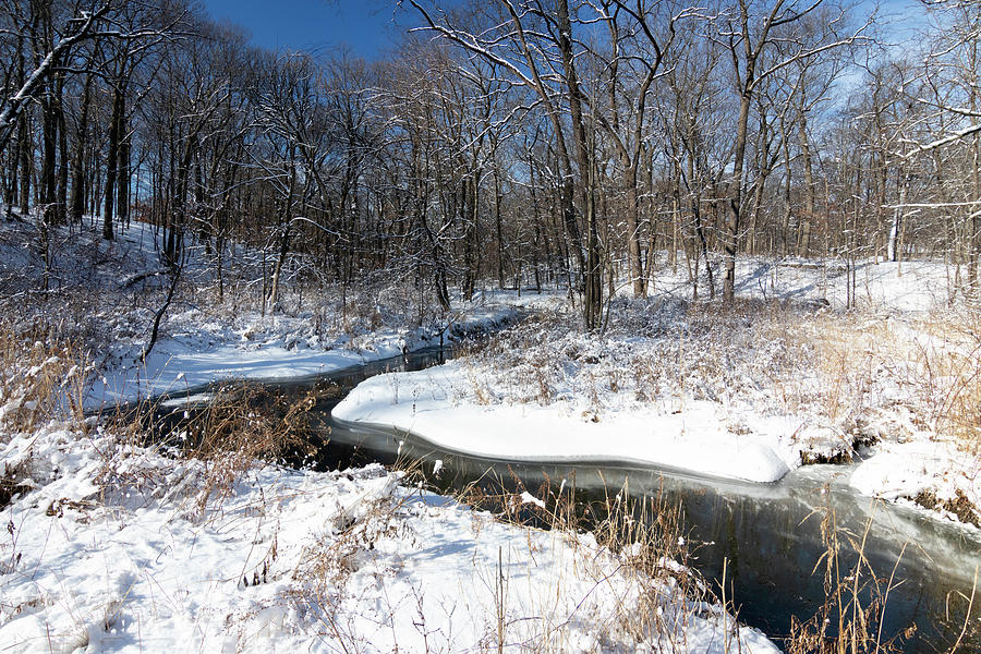 Winter Beauty Photograph by Patty Colabuono