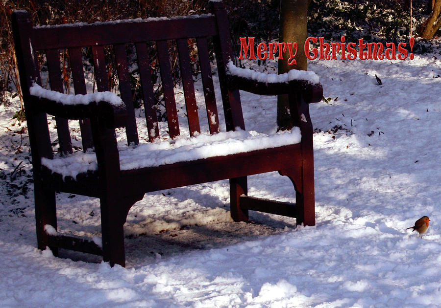 Winter Bench Merry Christmas  Photograph by Merice Ewart
